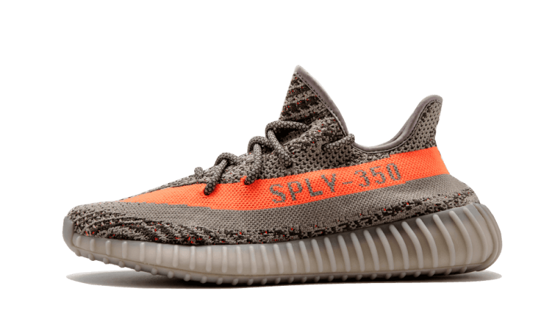 Beluga Beluga