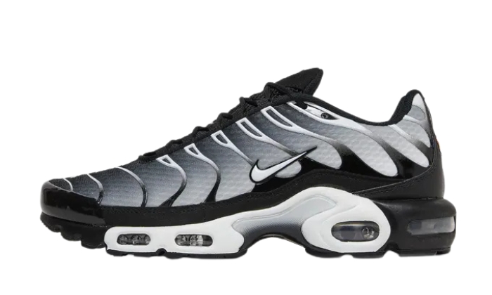 Black Metallic Silver Black Metallic Silver