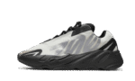 MNVN Bone